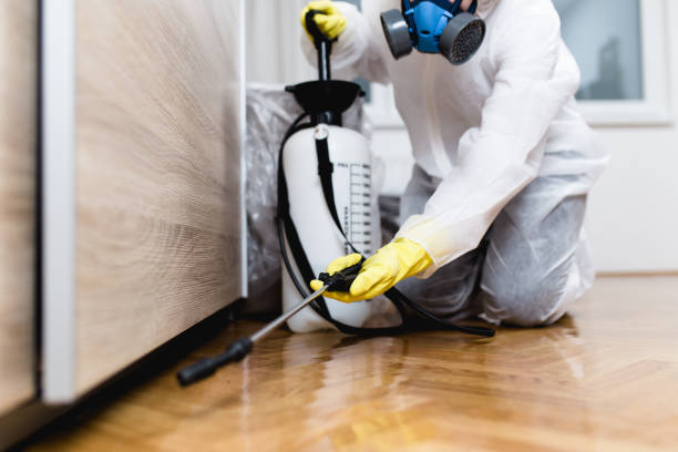 Best Pest Control Near Me  in Silsbee, TX