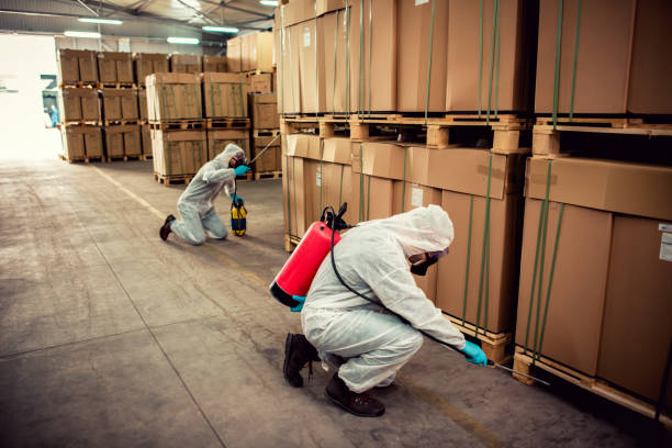 Best Commercial Pest Control Services  in Silsbee, TX