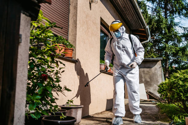 Best Exterminator Services  in Silsbee, TX