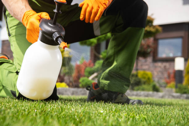 Bird Control in Silsbee, TX