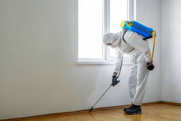 Best Exterminator Services  in Silsbee, TX