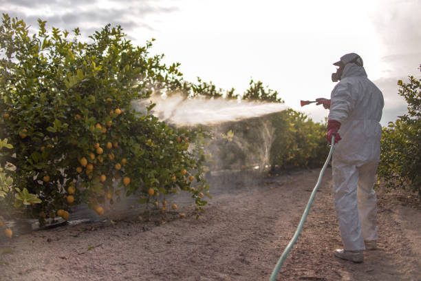 Pest Control for Restaurants in Silsbee, TX