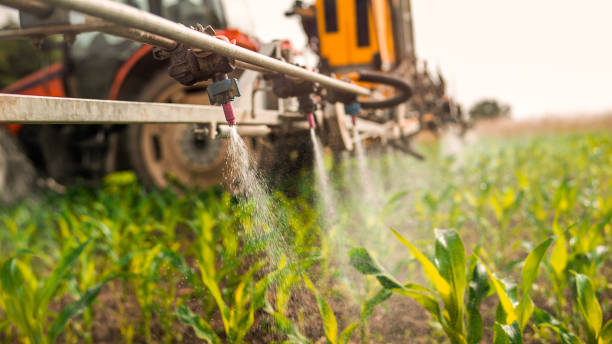 Best Mosquito Control Services  in Silsbee, TX